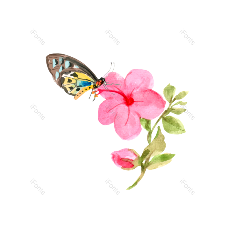 水彩质感图片,蝴蝶元素,花朵PNG,春天免抠素材